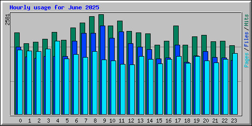 Hourly usage for June 2025