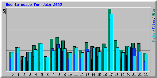 Hourly usage for July 2025